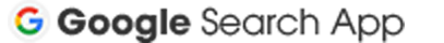 Google Search App